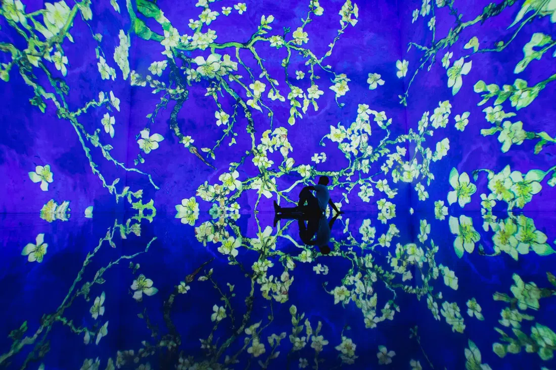 Theatre of Digital Art (ToDA), Dubai